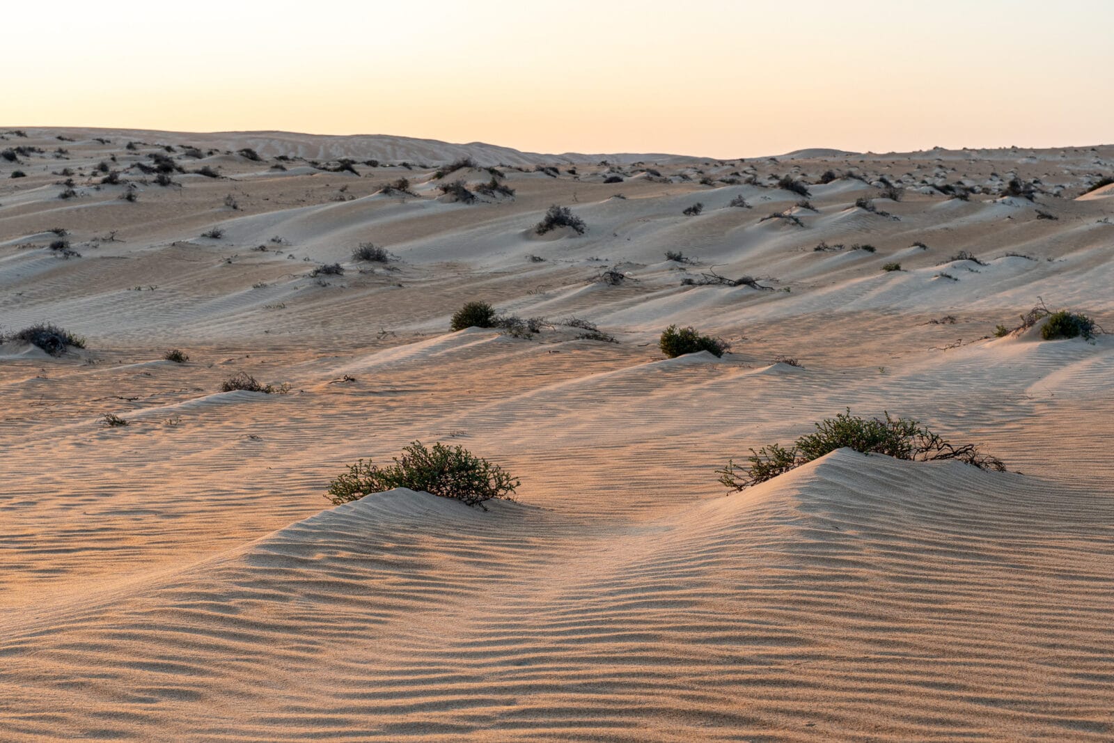 Duinen bij zonsondergang bij Ghallah