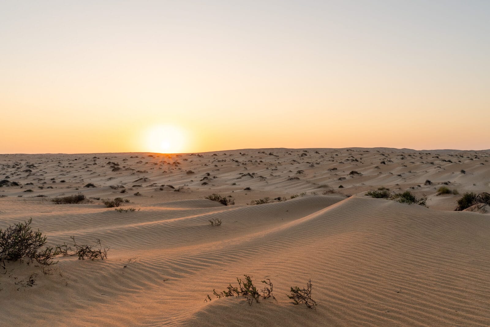Ochtendlicht op de geribbelde duinen bij Ghallah