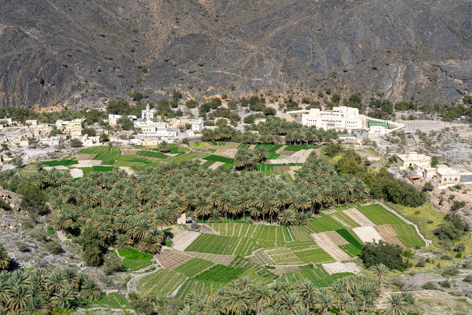 Terrassen en palmen in het bergdorp Hatt in Wadi Bani Awf