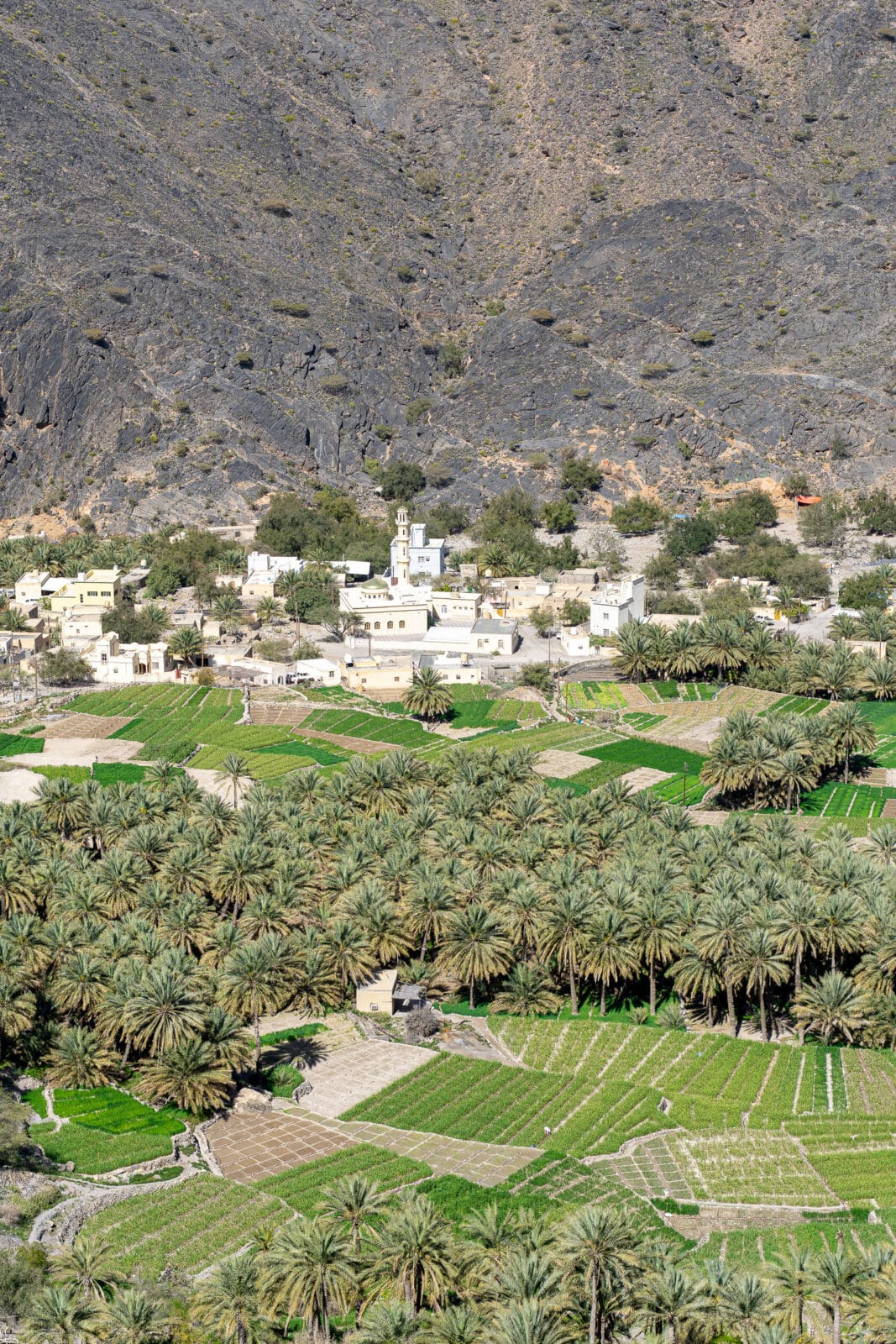 Oasedorp tegen de kale berghellingen in Wadi Bani Awf