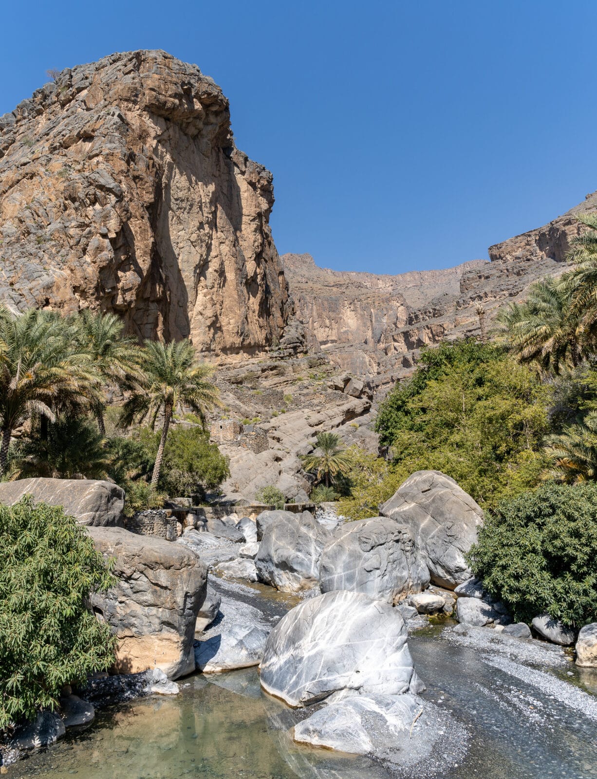 Rotskloof met palmen en helder water in Wadi Ghul