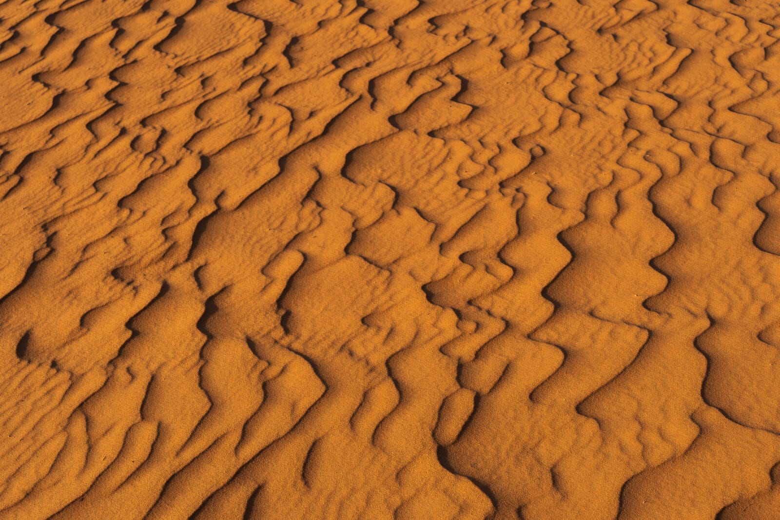 Ribbels in de duinen bij Shaqra