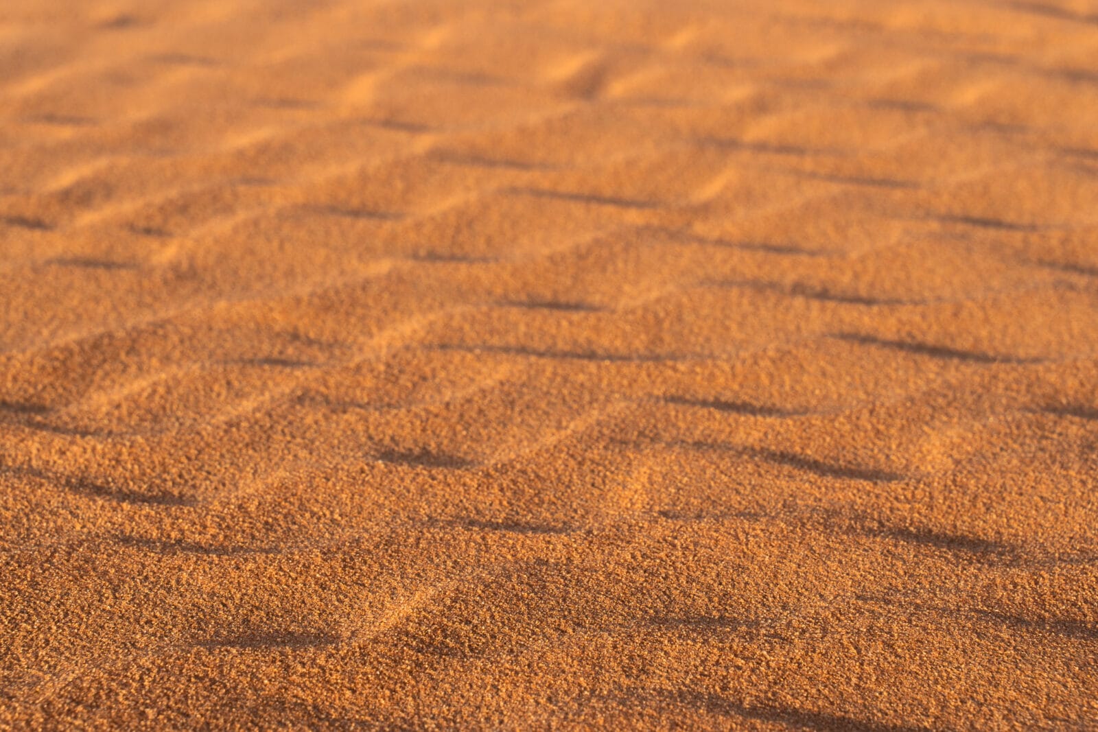 Geribbelde duinen in het zonlicht bij Shaqra