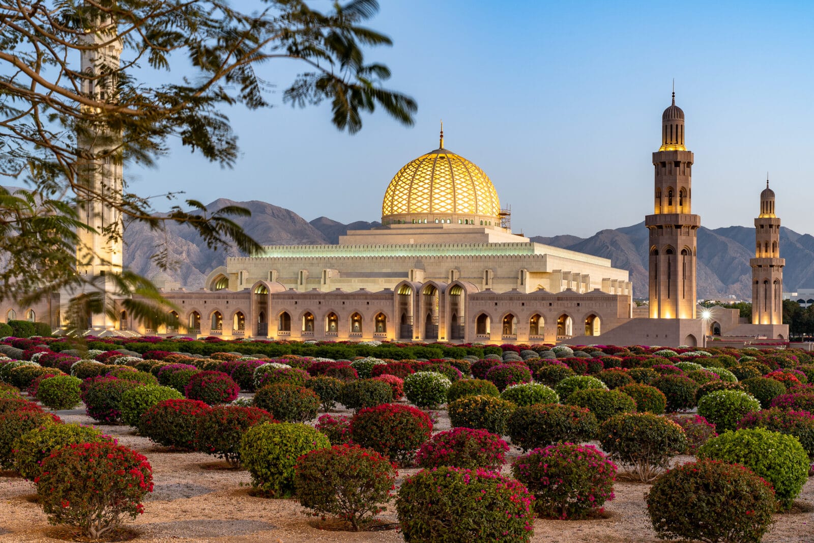 Tuin van de Sultan Qaboos-moskee in de schemering, Muscat