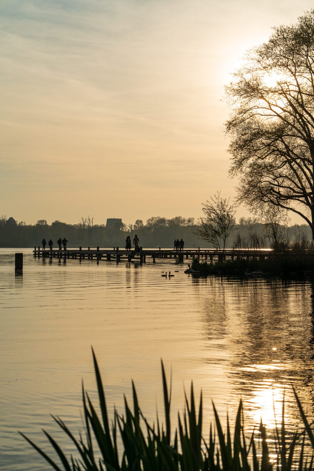 Avondzon weerspiegeld in de Kralingse Plas