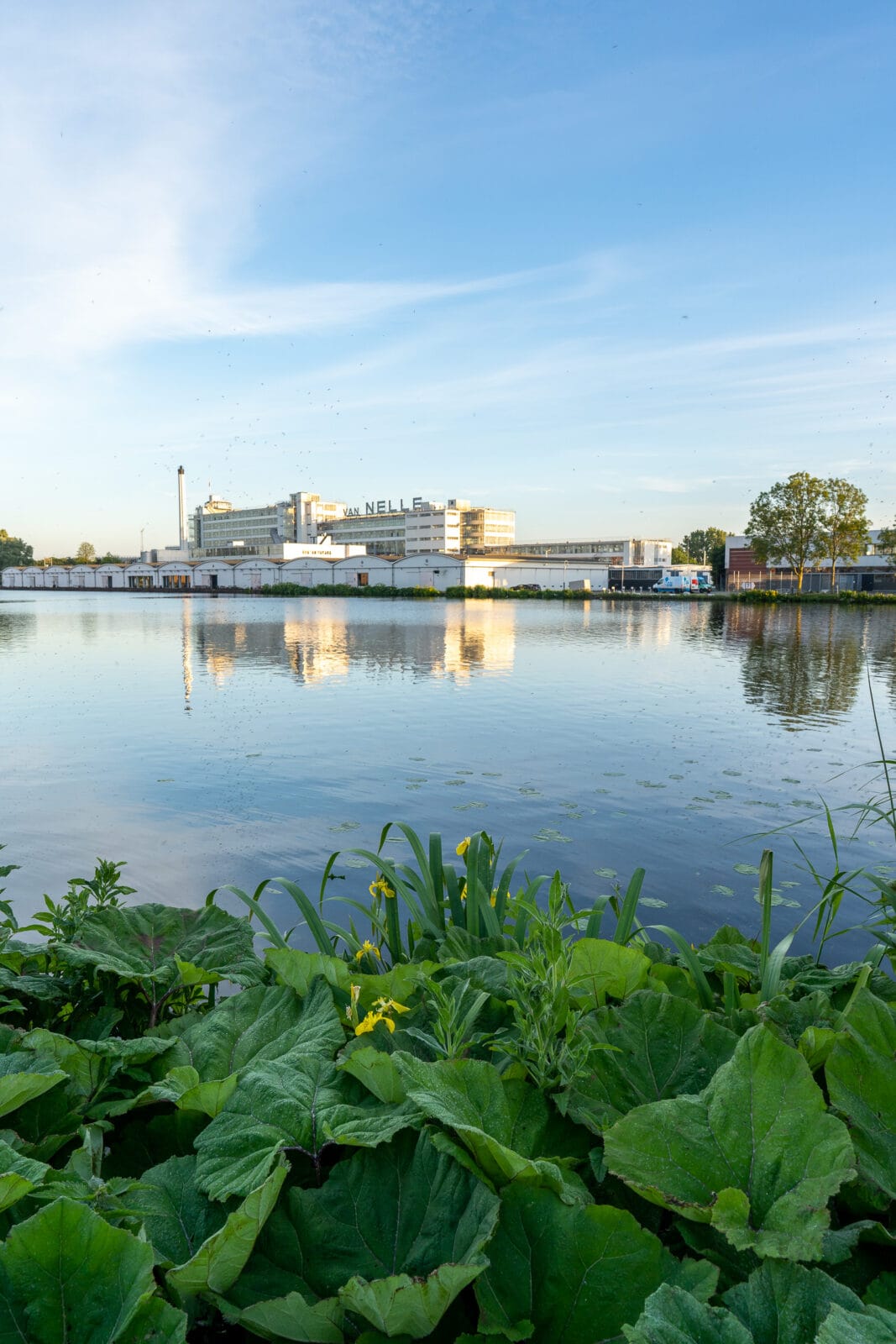 De Van Nellefabriek in Rotterdam aan het stille water