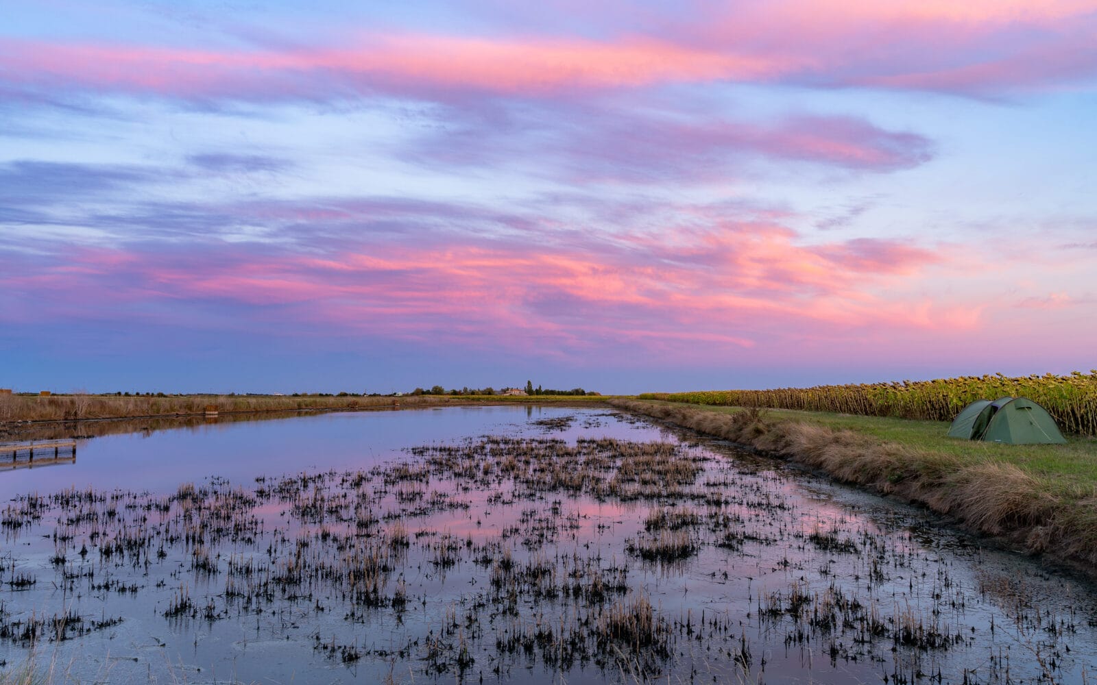 Roze wolken weerspiegeld in stil water bij zonsondergang, Triaize