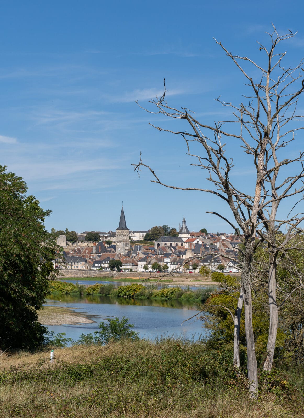Oude bomen met zicht op La Charité-sur-Loire