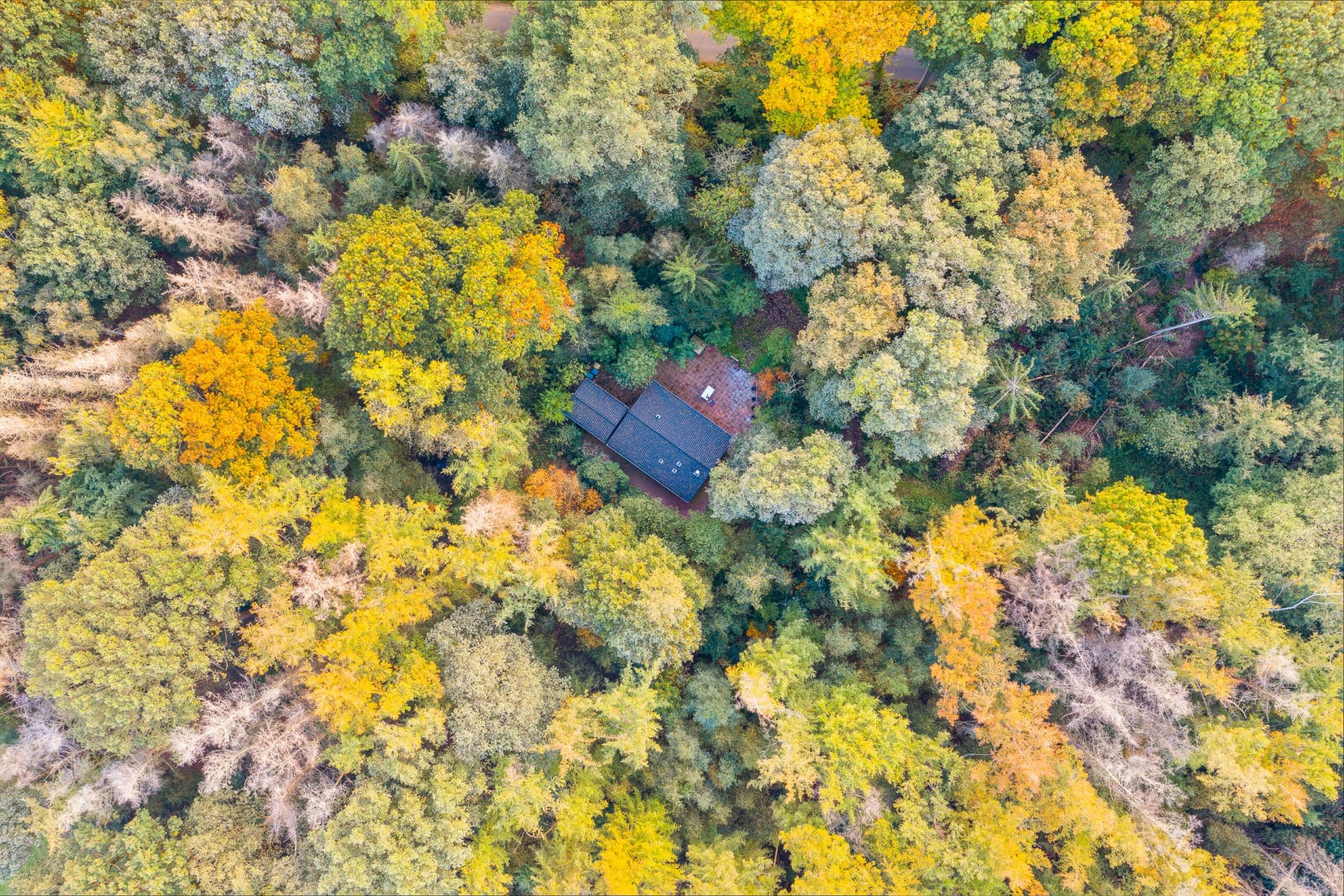 Huis verscholen onder het herfstbladerdak bij Sinderen