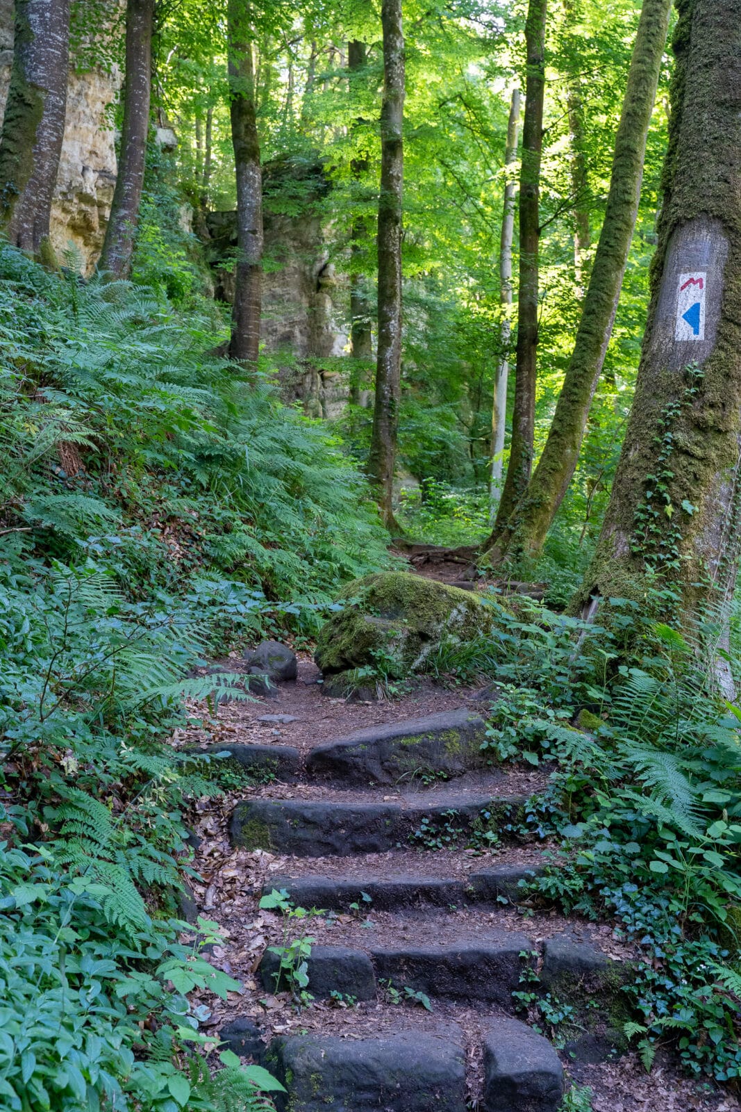 Stenen trap en markering van de Mullerthal Trail bij Consdorf
