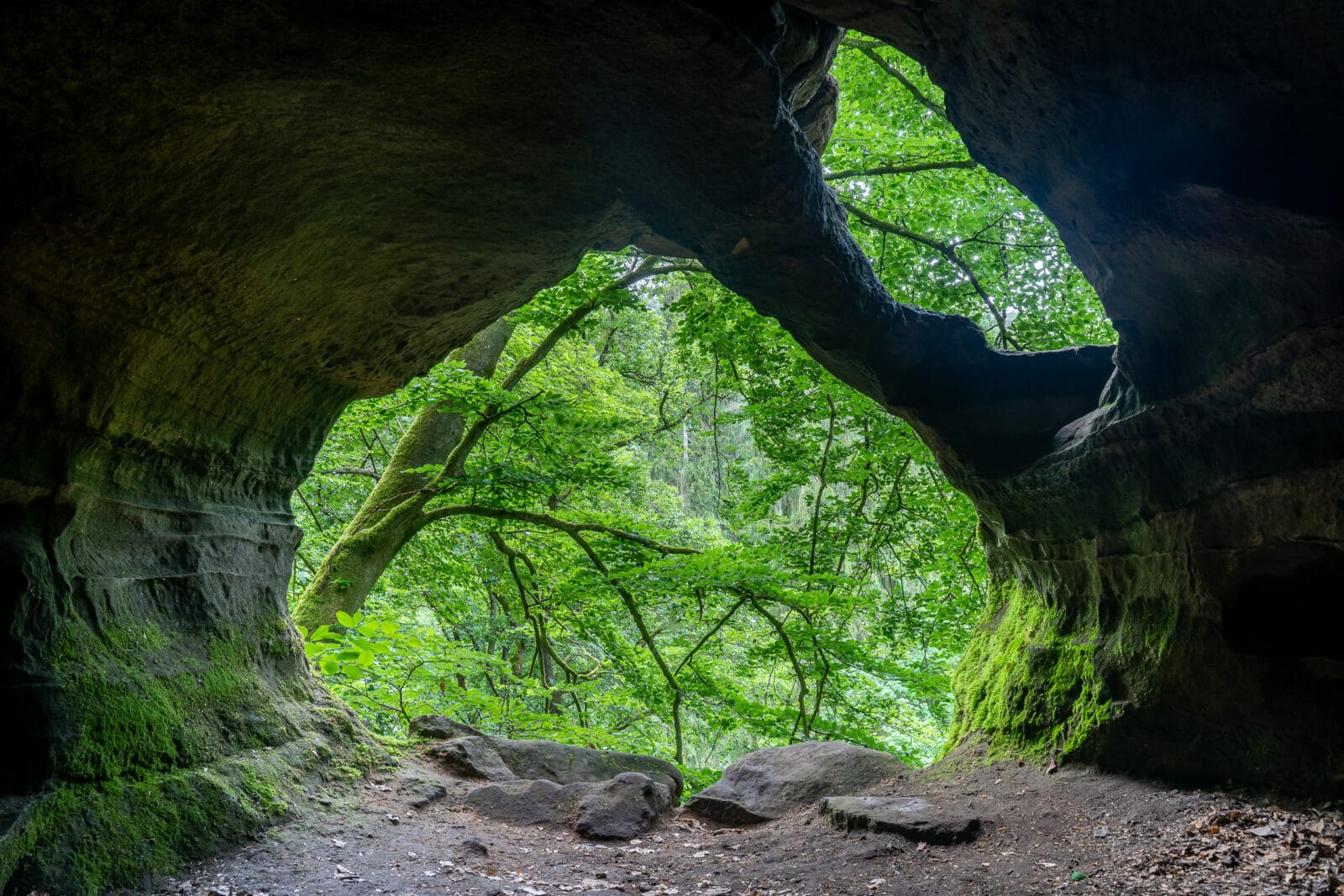 Uitzicht vanuit een rotsholte op het bos bij Berdorf
