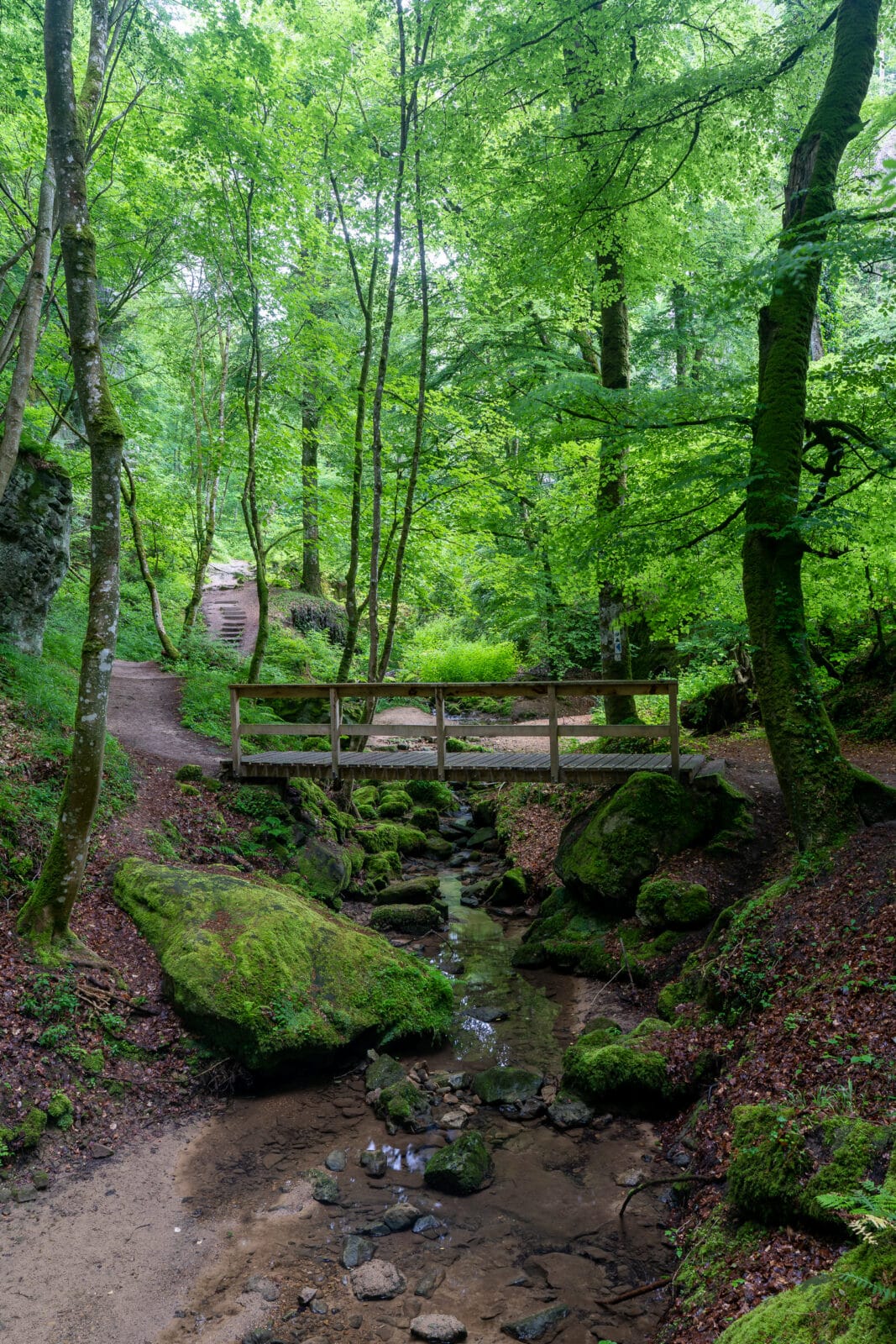 Houten bruggetje over een bosbeek bij Berdorf
