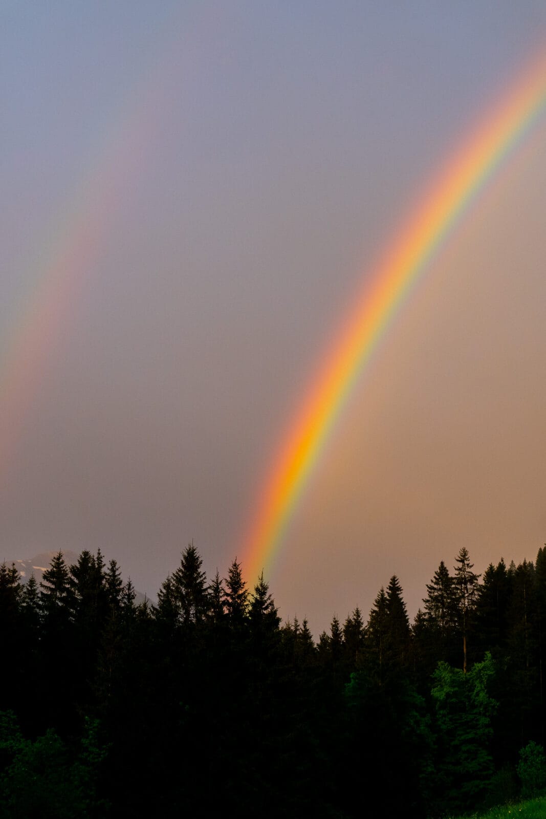 Dubbele regenboog boven het bos bij Bichlbach in Tirol