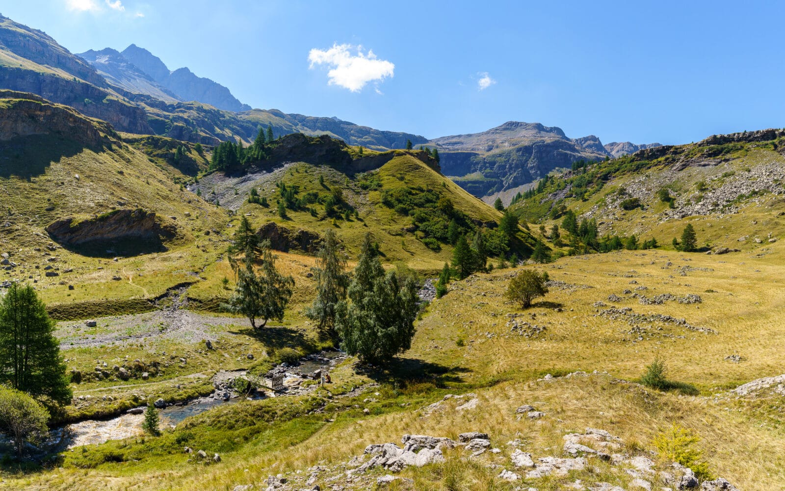 Bergdal met een kronkelende beek bij Freissinières