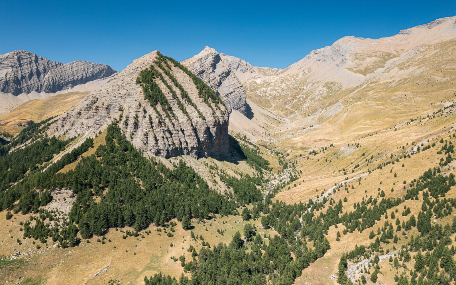 Ruige berghellingen met dennen bij Saint-Clément-sur-Durance, van boven