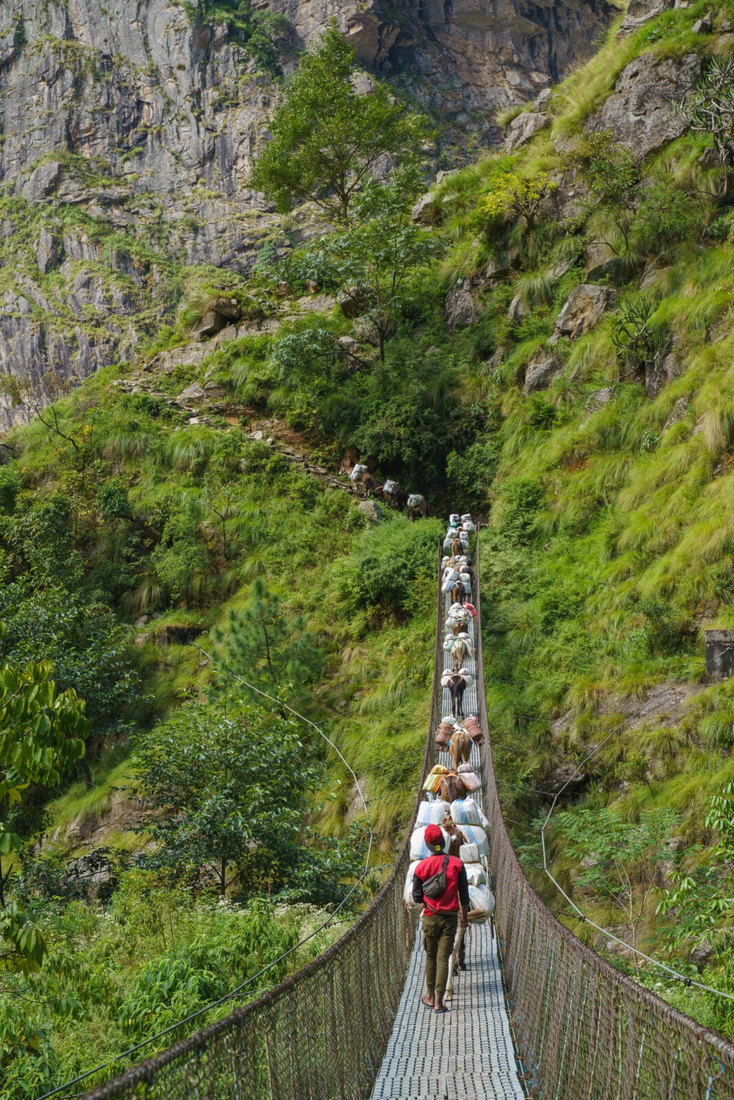 Muildierkaravaan op de hangbrug over de Budhi Gandaki