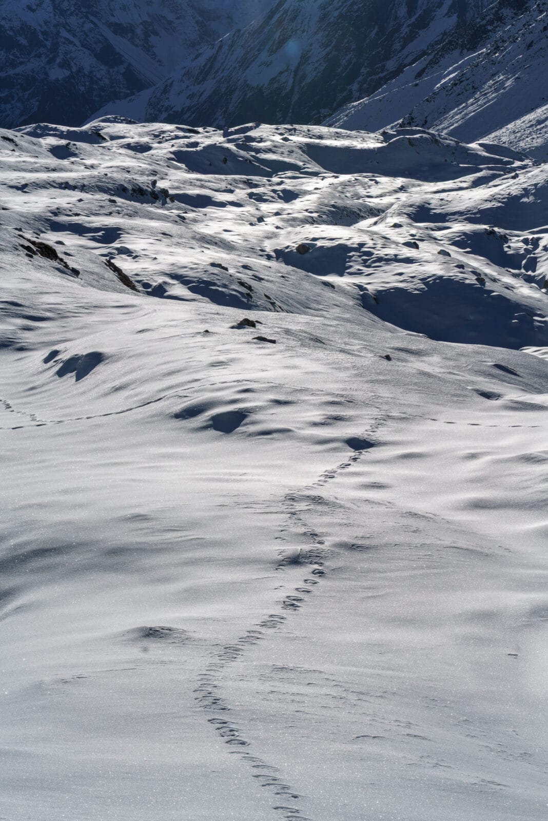 Voetsporen door de sneeuw op de klim naar de Larke La