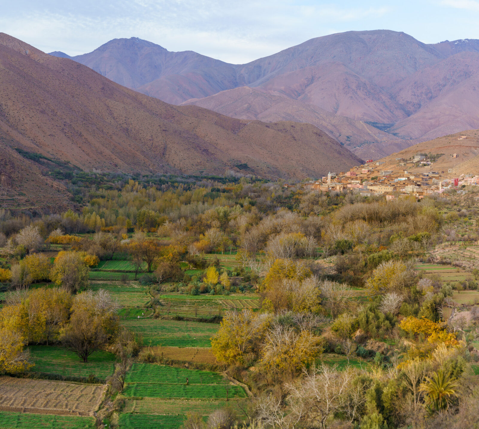 Tassoult, Morocco - december 2024