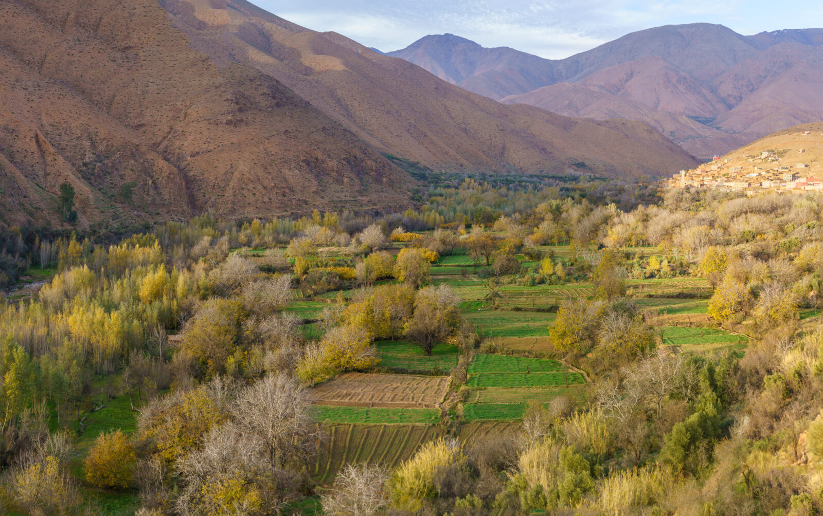 Tanmiterte, Morocco - december 2024