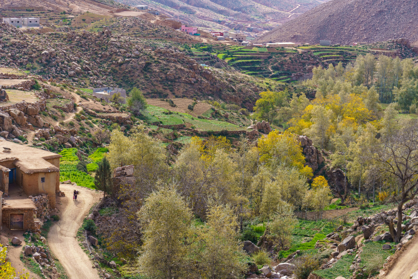 A lone figure walks a dusty path through terraced fields