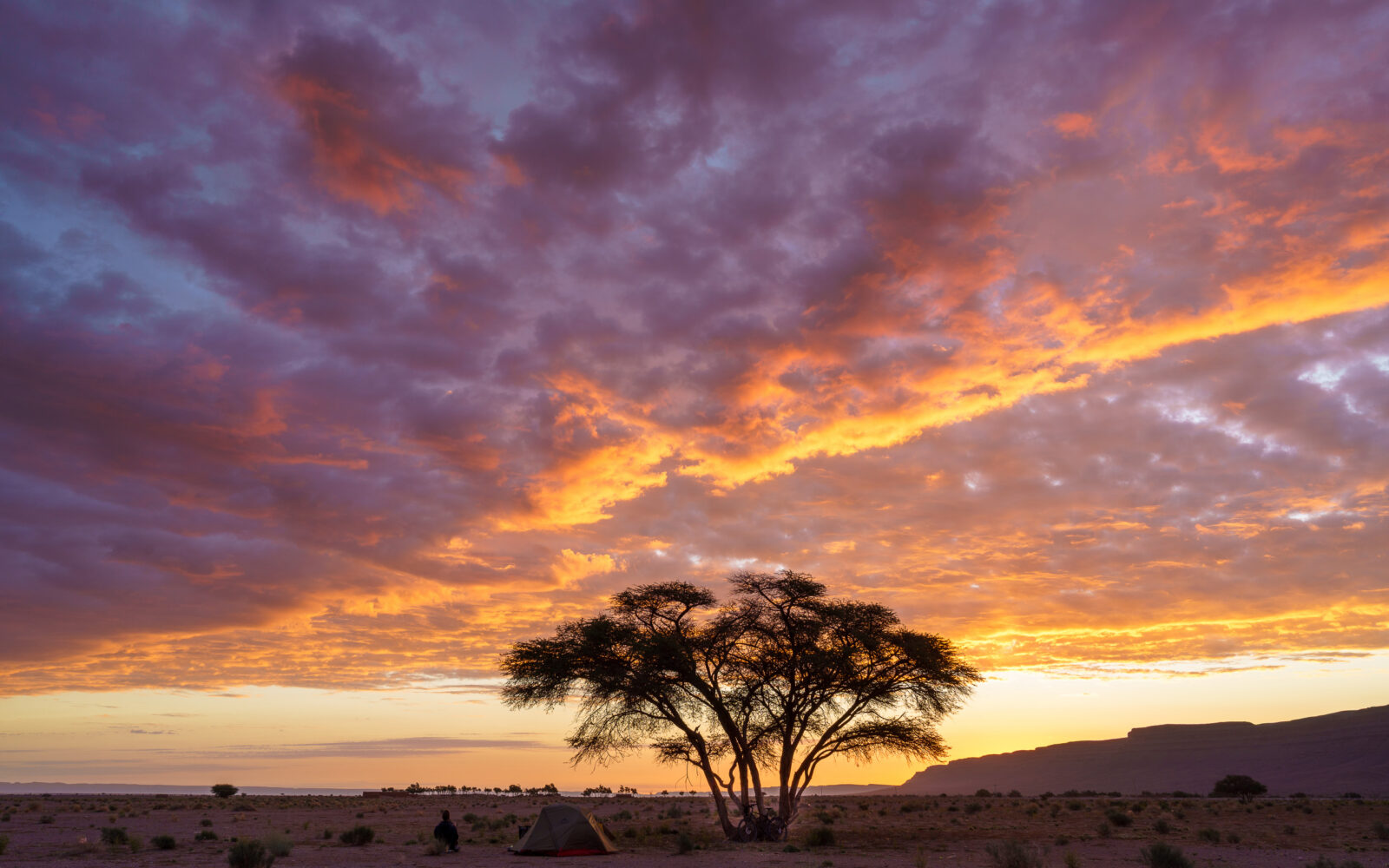 Dramatic desert sunset paints the sky with fire