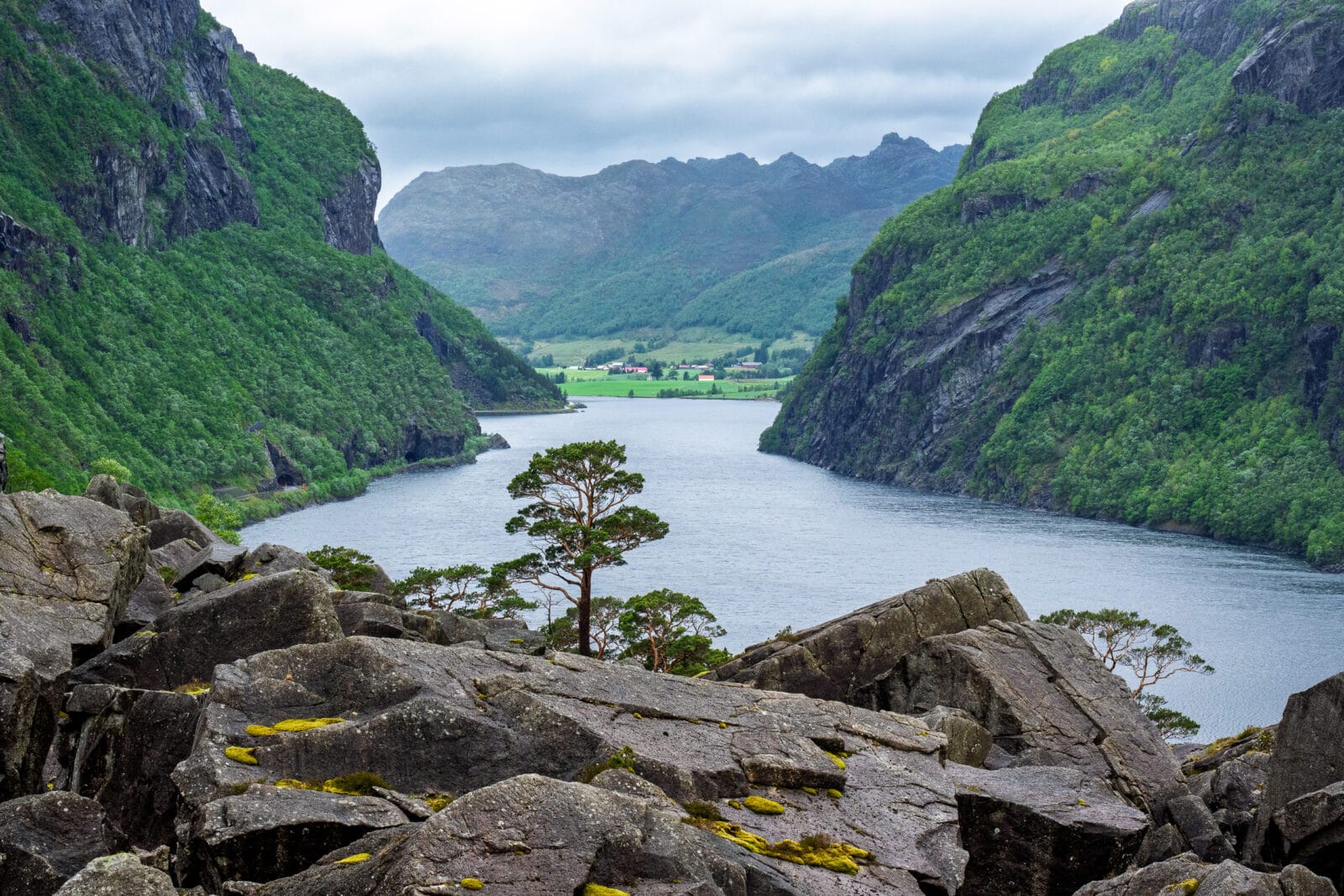 Steile rotswanden boven de fjord bij Gjesdal in Rogaland