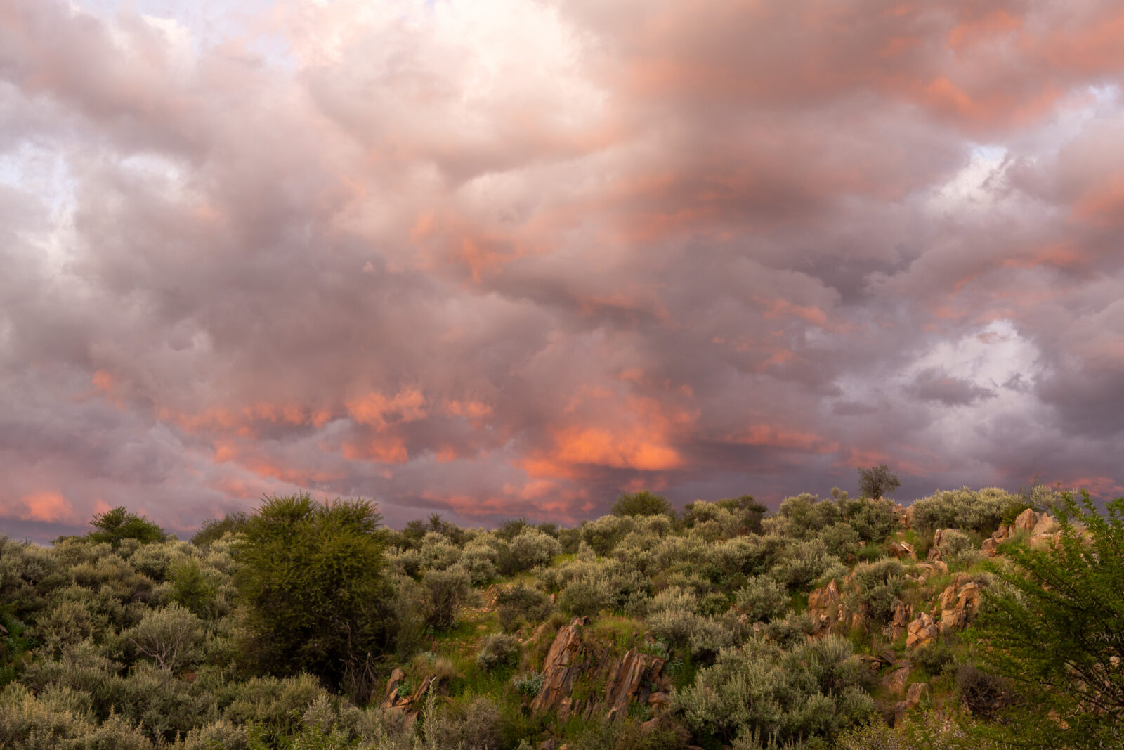 Pink light illuminates the rugged landscape