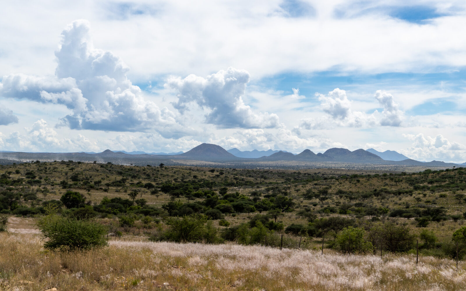 Dramatic clouds above a sprawling savanna