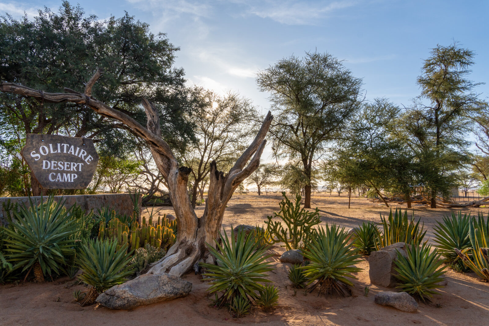 Solitaire Desert Camp's serene morning glow