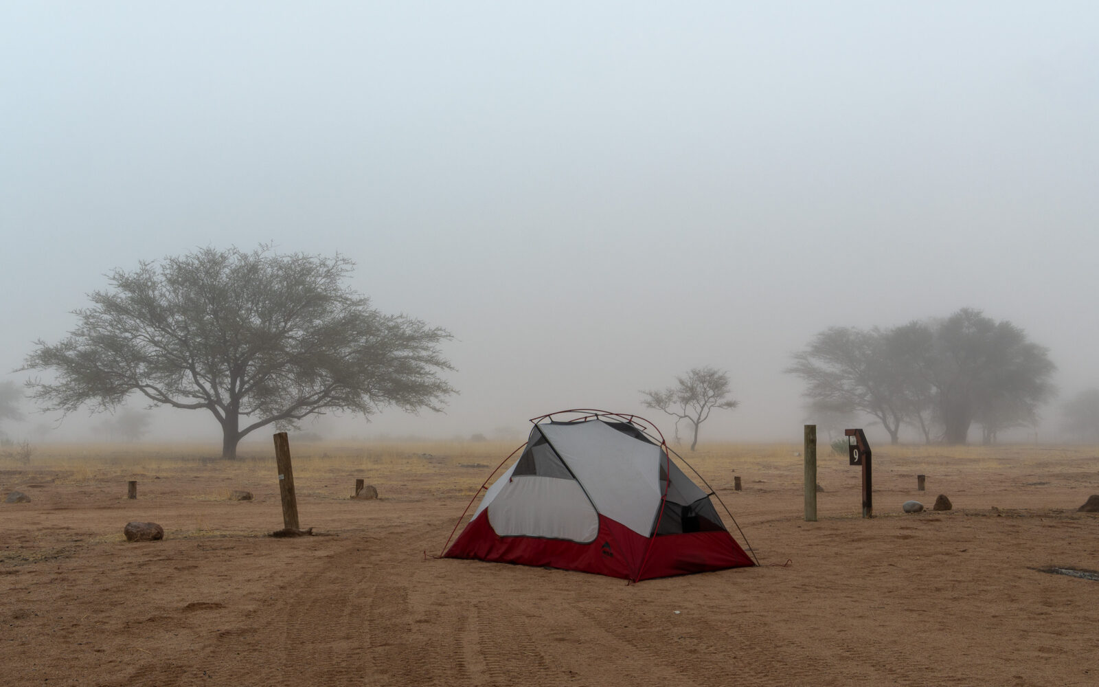 Misty morning at the desert camp