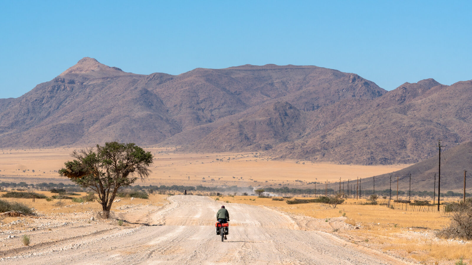 Solitary journey through the vast desert