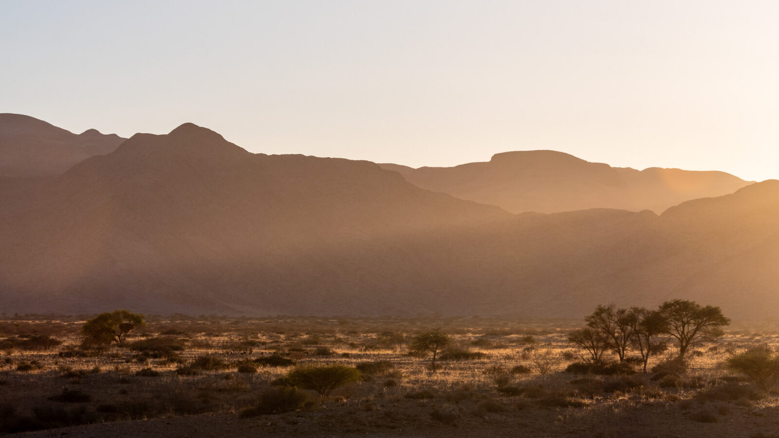 Desert mountains bathed in warm golden light