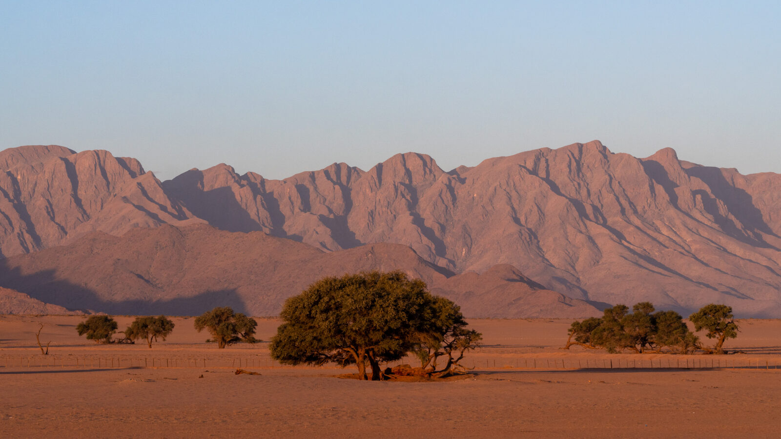 Warm light paints desert mountains and trees