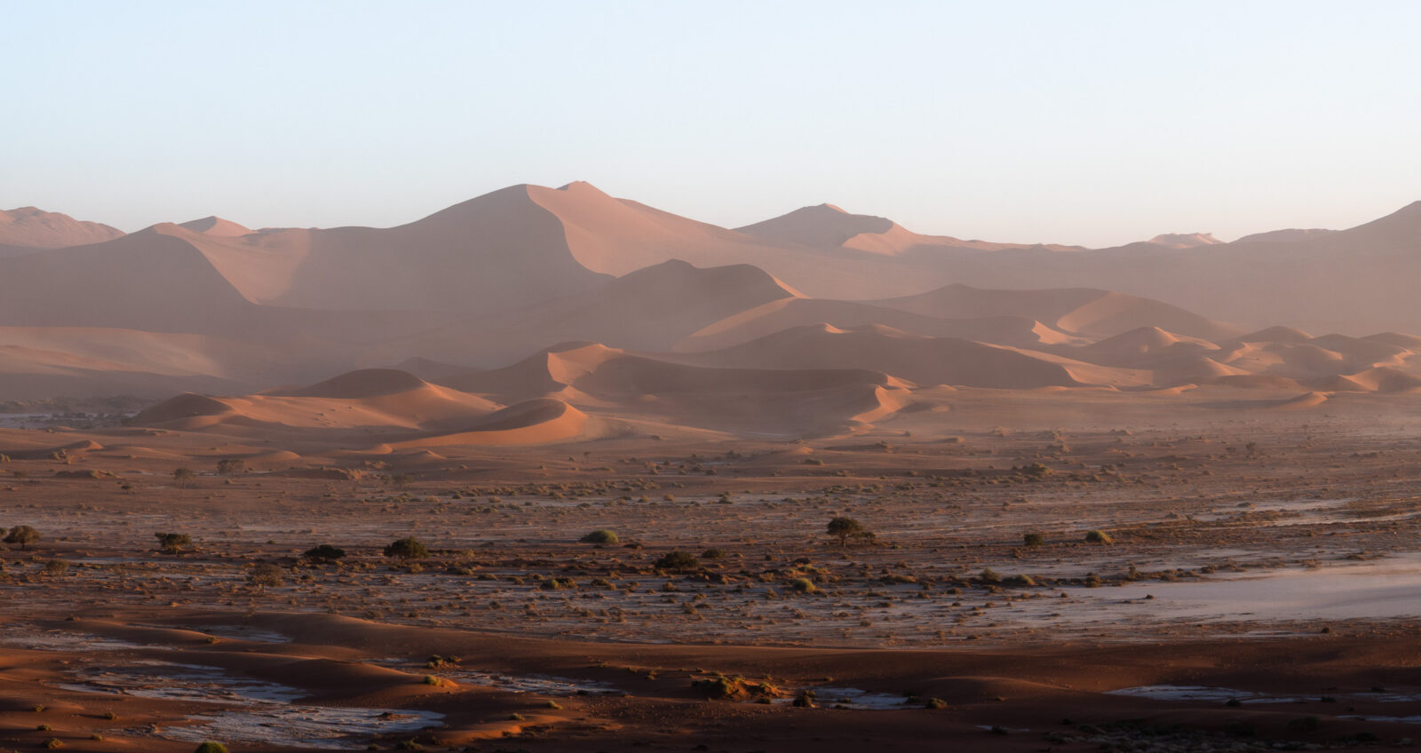 Soft light on the majestic desert dunes