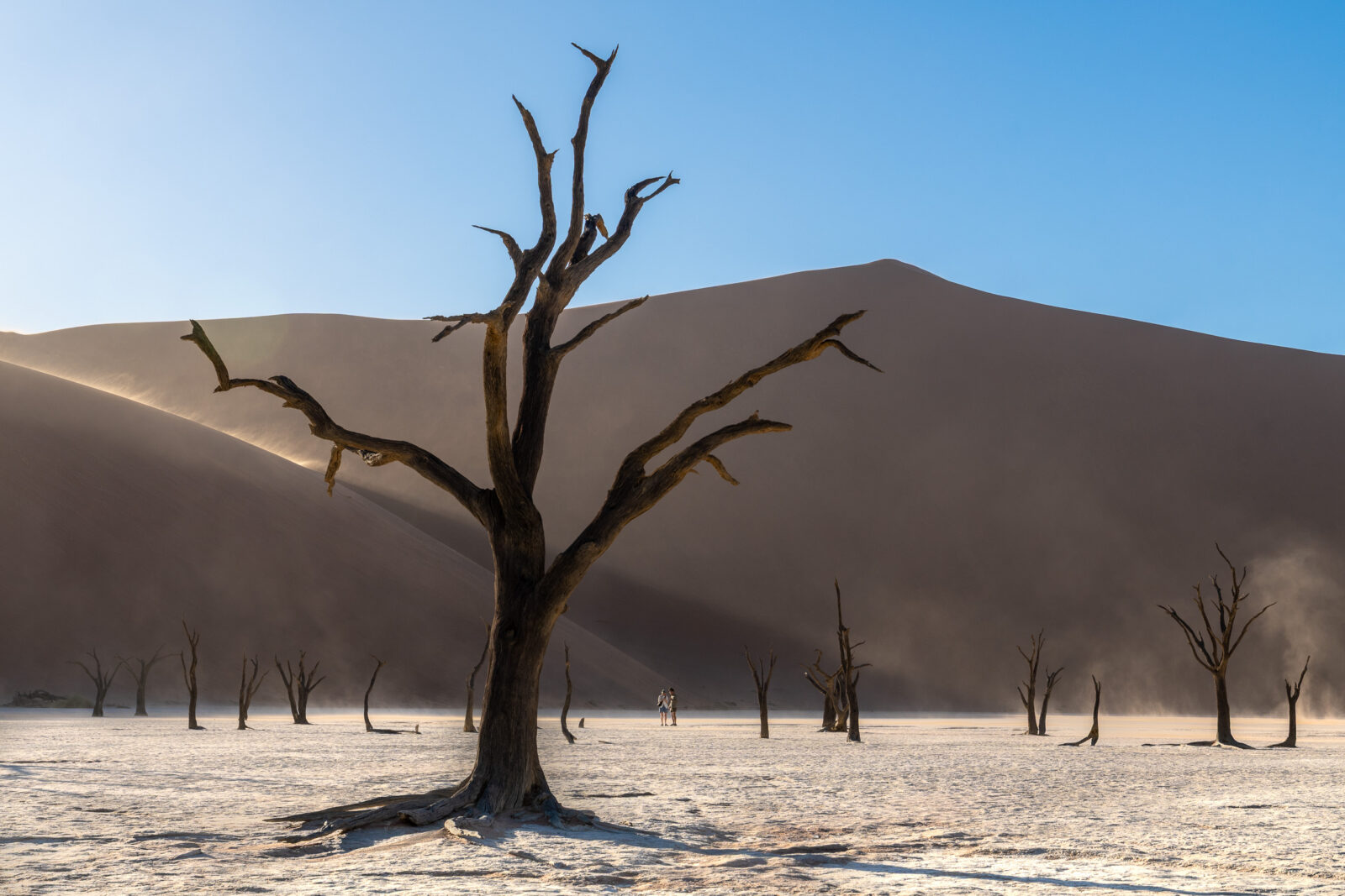 Deadvlei's ghostly trees and towering dunes