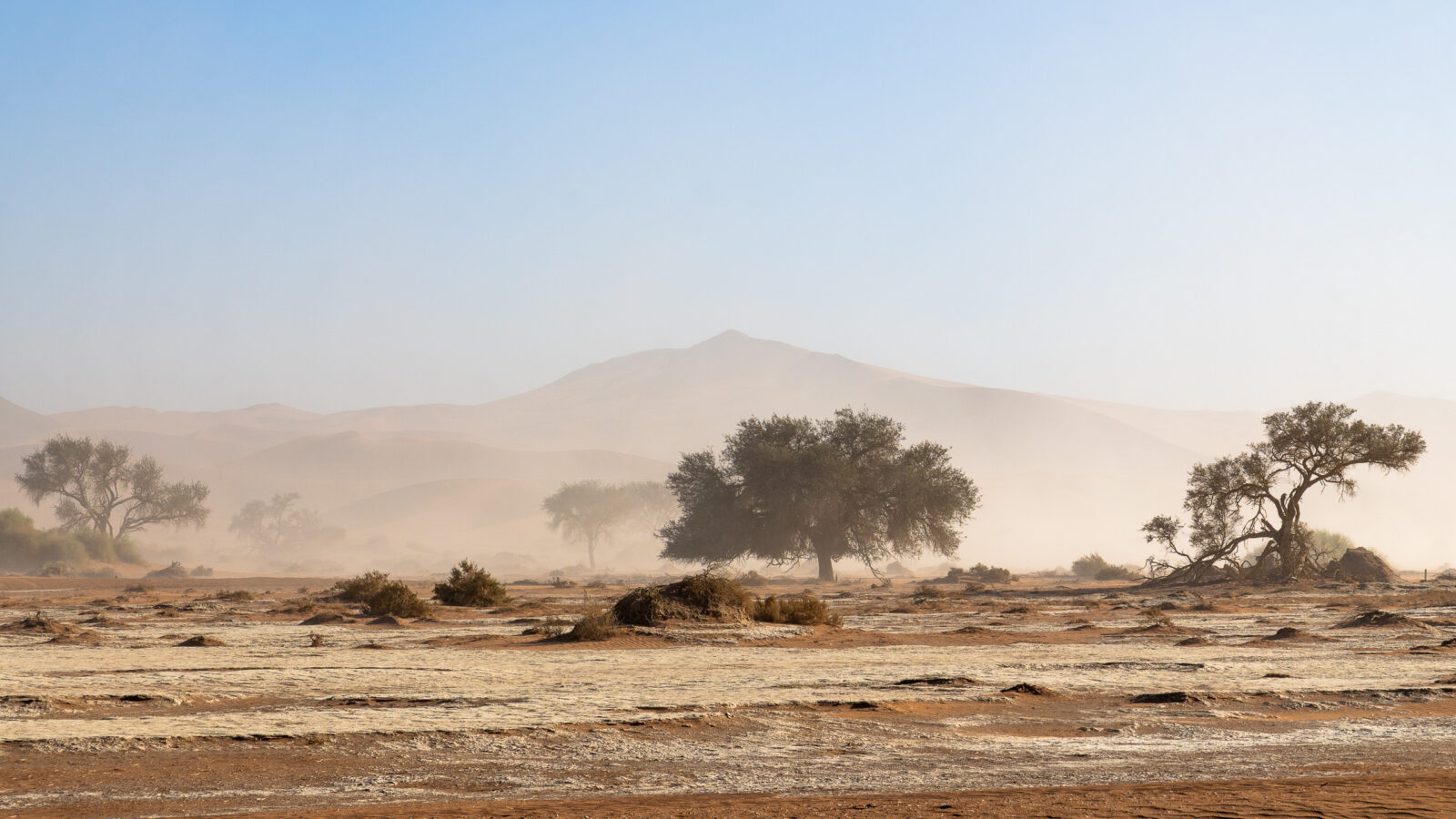 Serene desert landscape veiled in dust