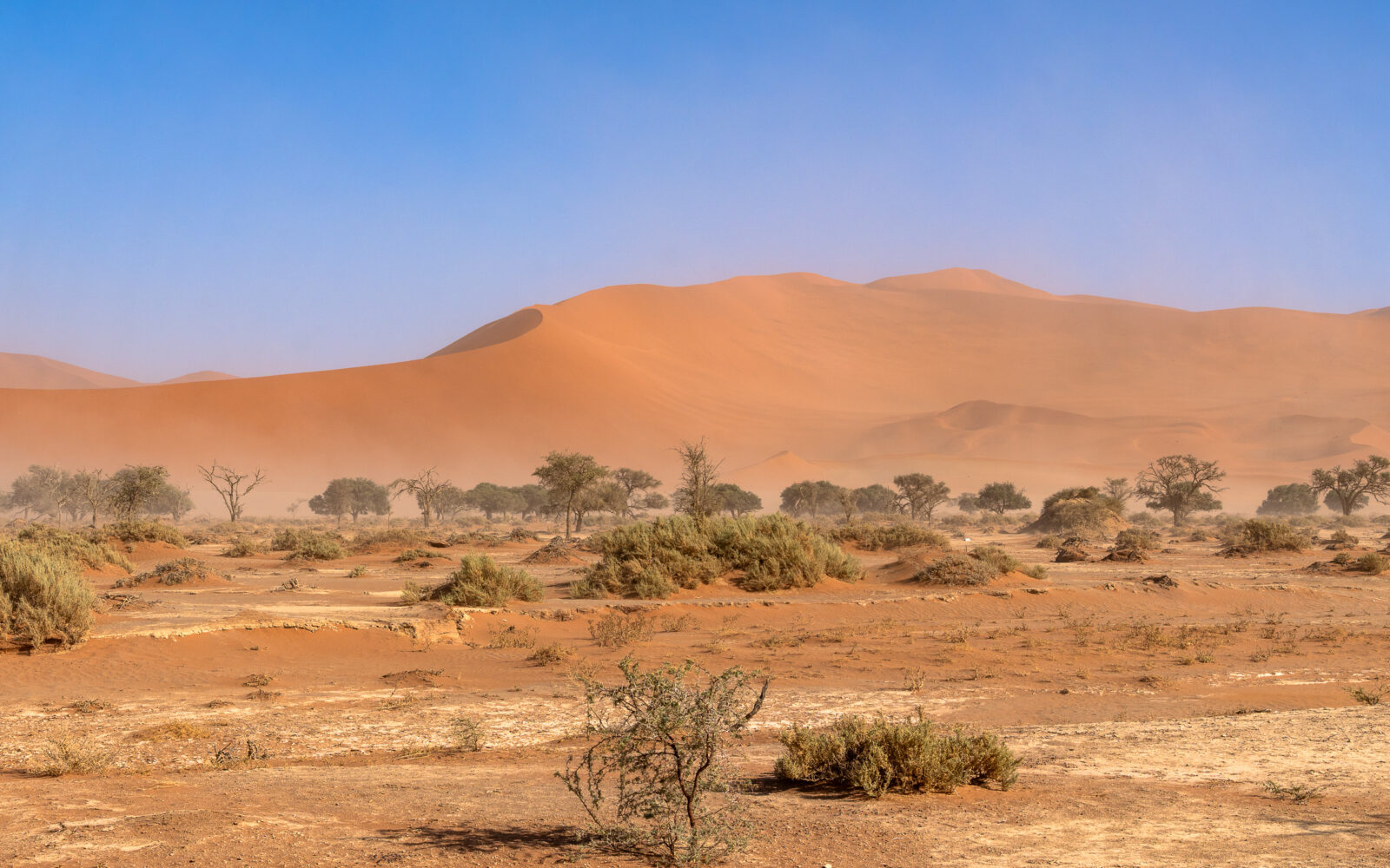 Hazy desert vista with majestic red dunes