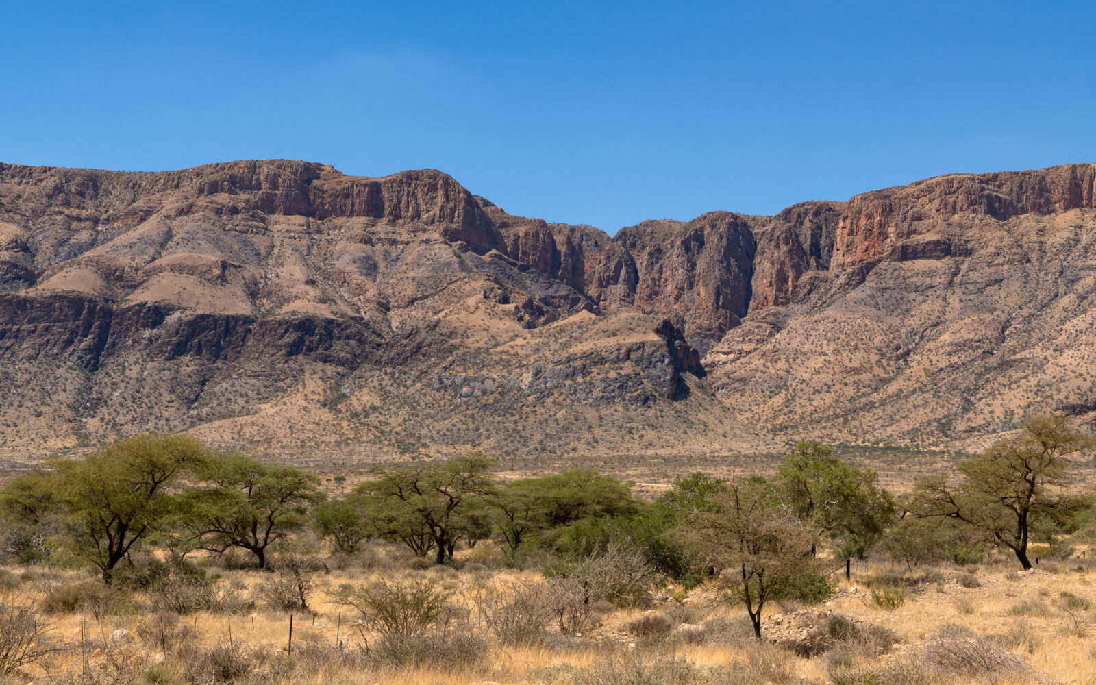 Untamed desert beauty under a wide sky