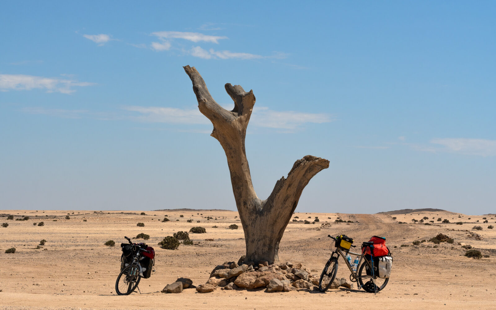 Journey's pause beneath the ancient tree