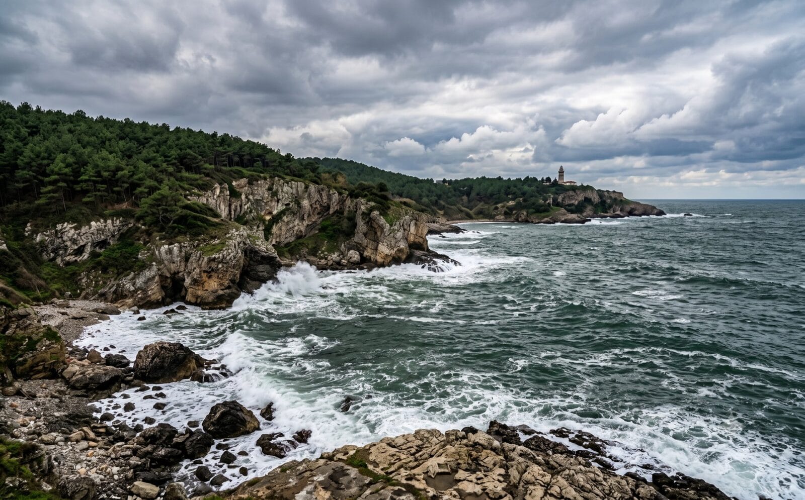Groen bebost heuvellandschap langs de Zwarte Zee-kust ten oosten van Istanbul