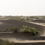 Golvende, geribbelde zandduinen met grijsgroene struiken in de Karakum-woestijn