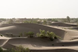 Golvende, geribbelde zandduinen met grijsgroene struiken in de Karakum-woestijn