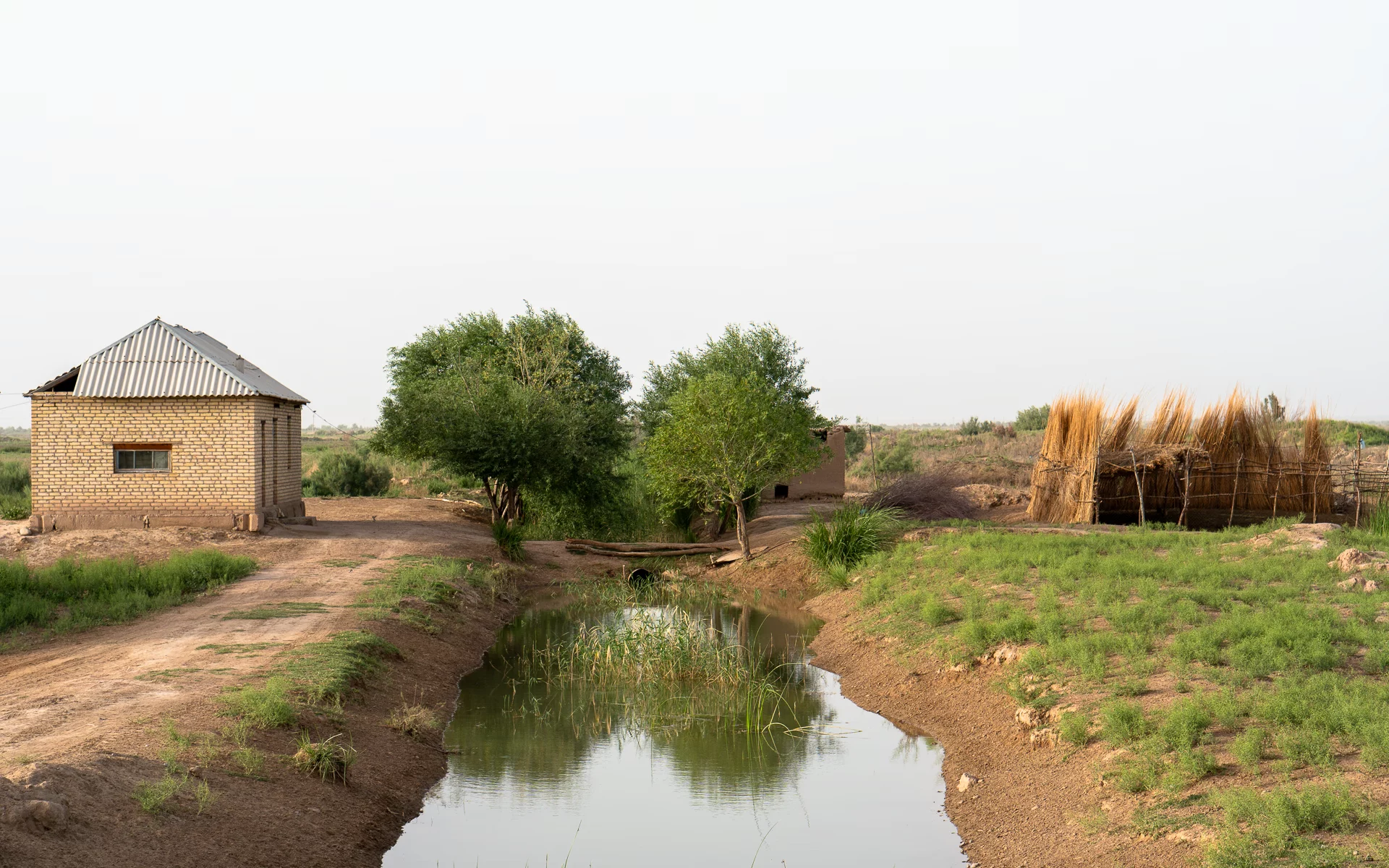 Geel bakstenen huis met golfplaten dak naast een hut van rietbundels aan een sloot bruin water