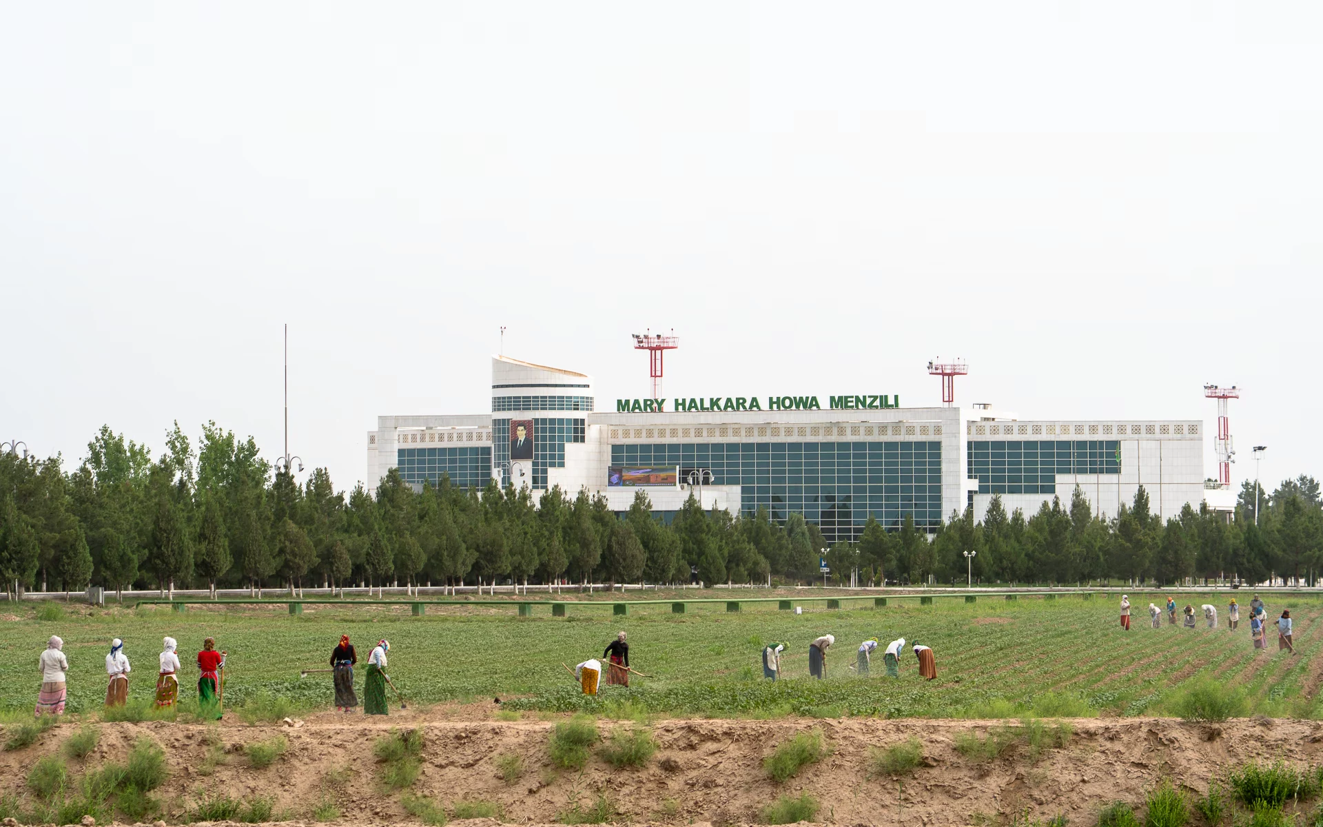 Ploegen mensen schoffelen met de hand in een katoenveld bij Mary, Turkmenistan