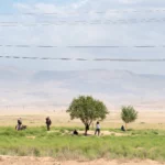 Boeren zoeken de schaduw van een eenzame boom op in een veld bij Aynakul