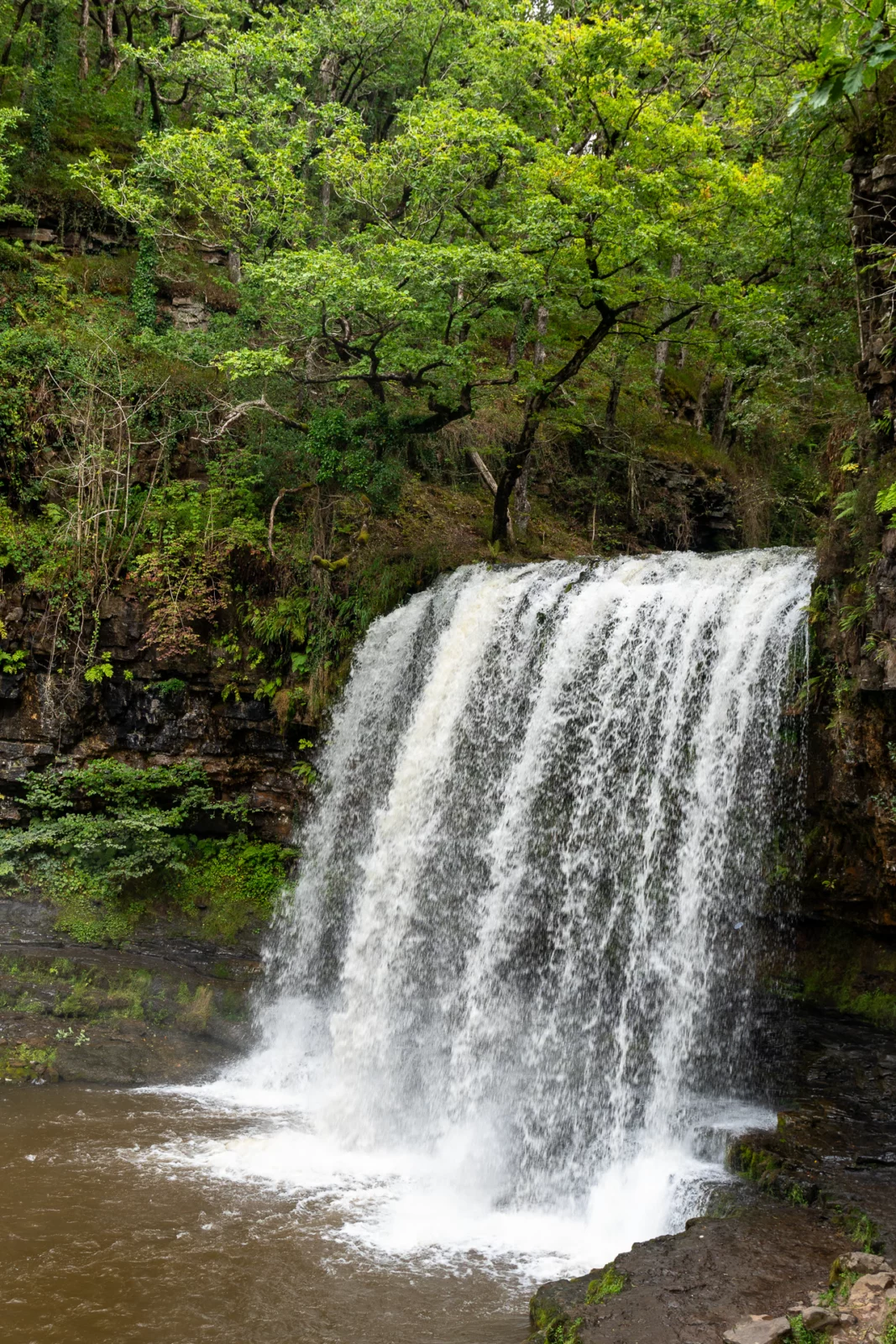 Sgŵd yr Eira, een brede waterval die over een rotsrichel in een bosrijke kloof valt, met een ondiepe poel op de voorgrond, Wales