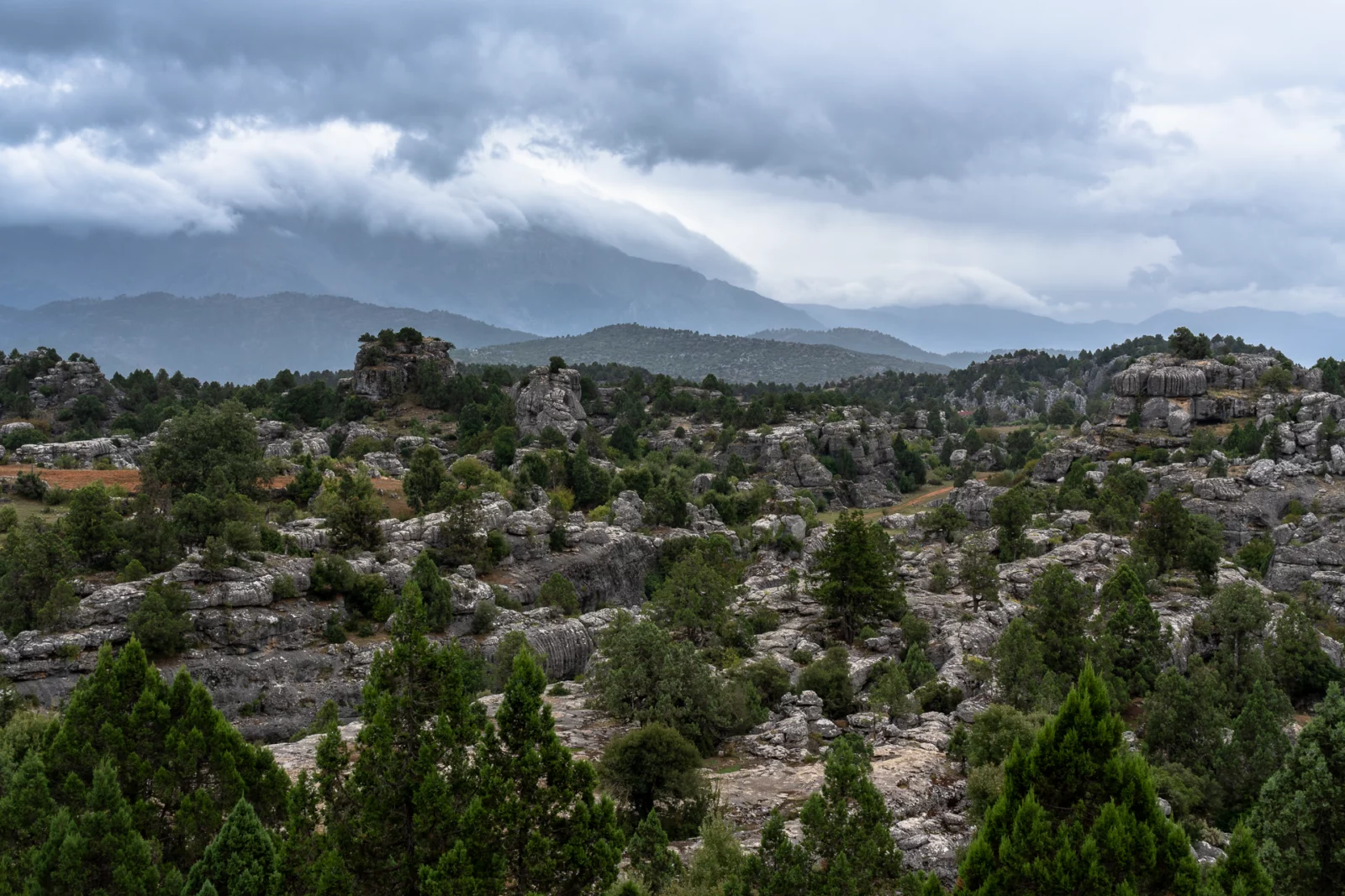 Uitzicht over een uitgestrekt plateau vol uitgesleten grijze kalkrotsen en jeneverbessen onder een grijze wolkenlucht in het Taurusgebergte