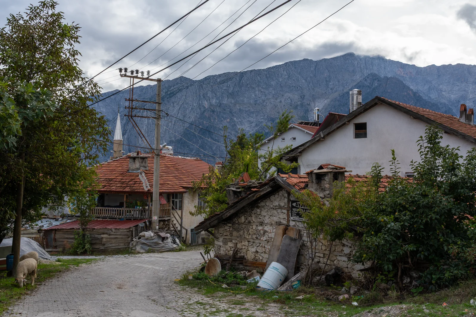 Dorpsstraat in Kasımlar met stenen huizen, rode pannendaken, een minaret en een schaap langs de weg, met een steile bergwand op de achtergrond